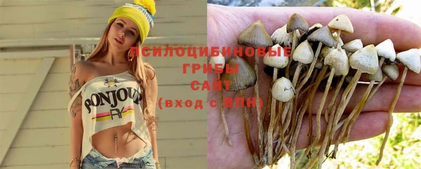 метамфетамин Заводоуковск